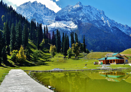 Jammu and Kashmir Tempo Traveller & Force Urbania Luxury Van Hire/Rental, covering 8, 9, 10, 12, 14, 16, 18 & 20 seaters